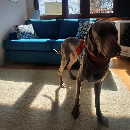 Jls Z Parkingiem Przy Plazy Lägenhet Gdańsk